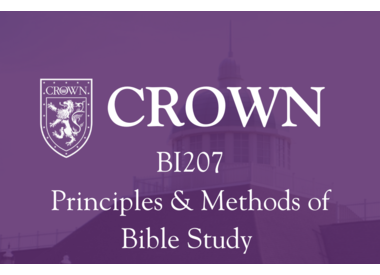 BI207