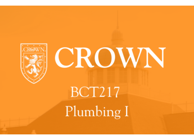 BCT217