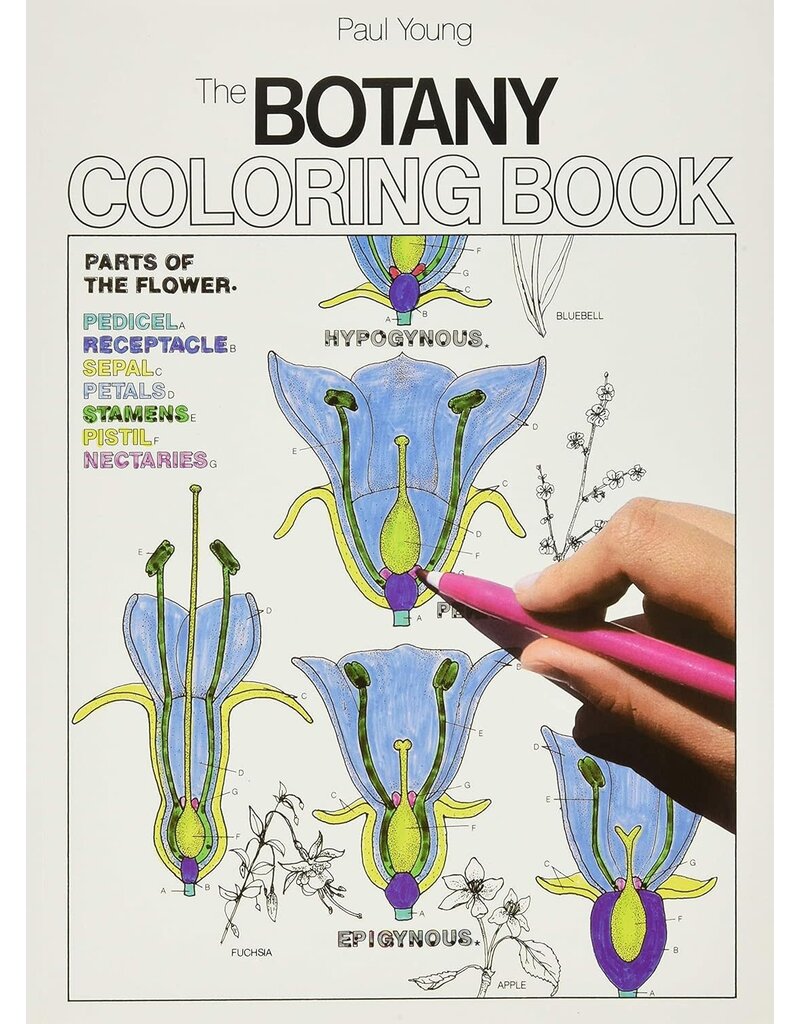 Botany Coloring Book (Coloring Concepts)