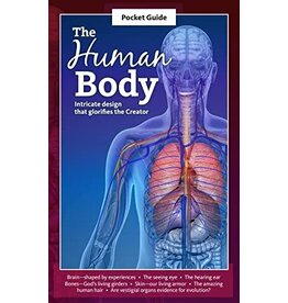 Human Body