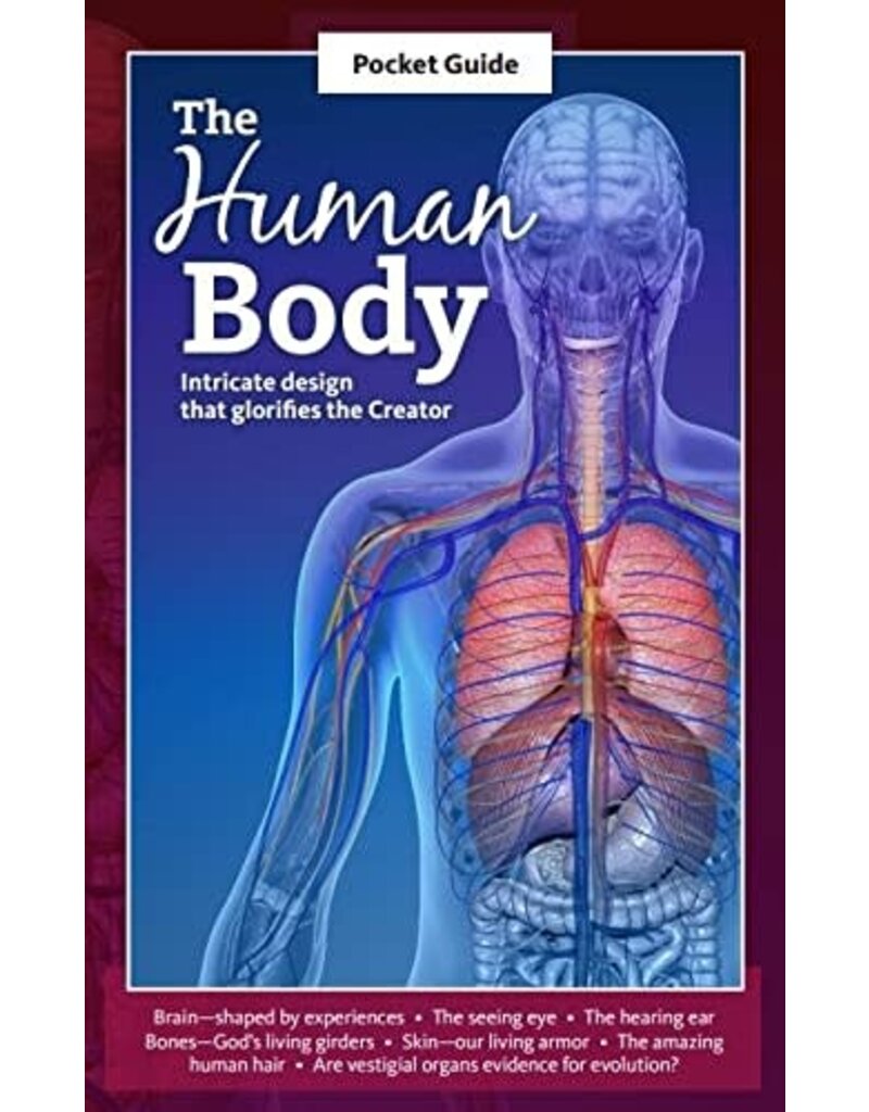Human Body