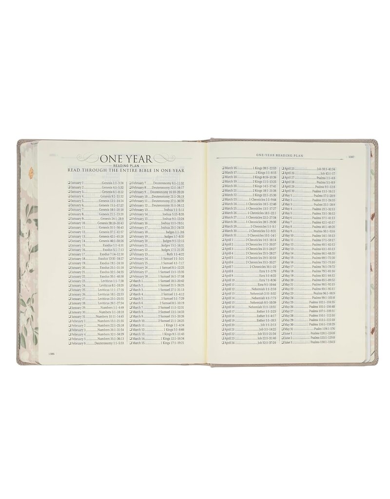 Trust Taupe Faux Leather Large Print King James Version Note-taking Bible - Proverbs 3:5