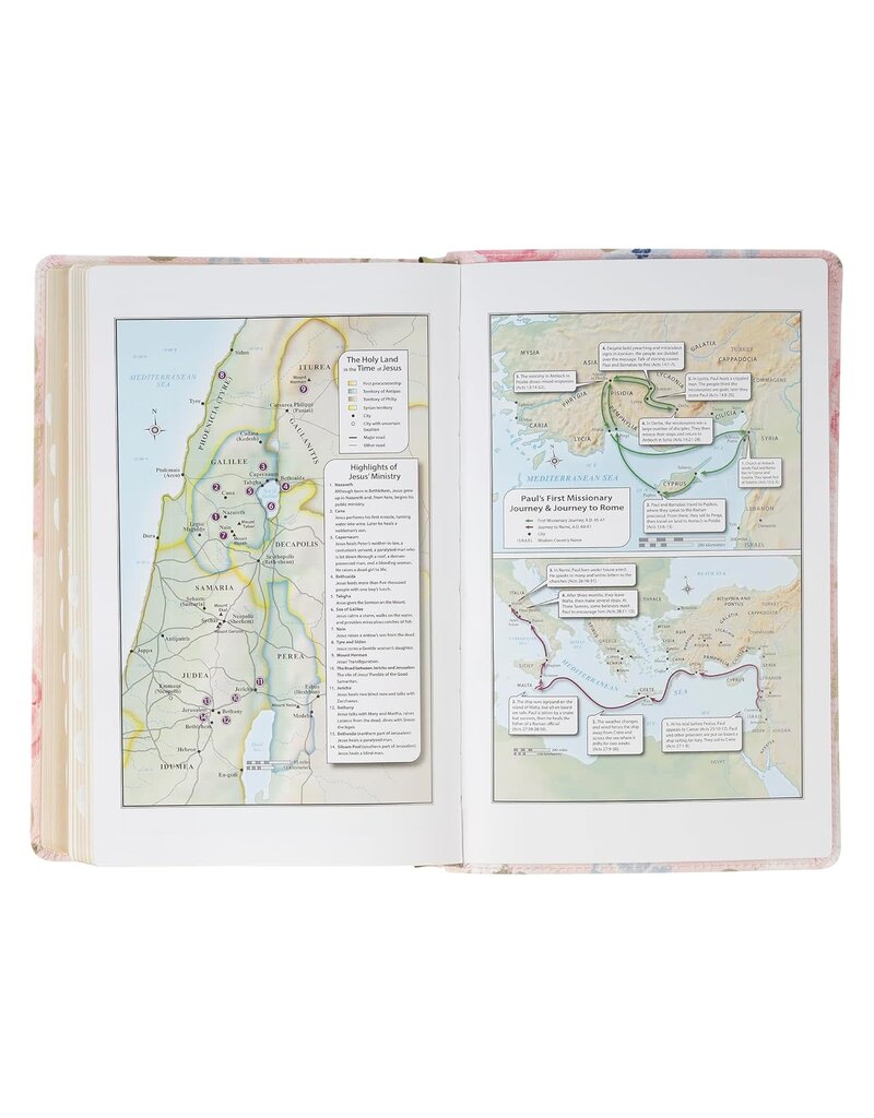 Pink Floral Faux Leather Giant Print Standard-Size King James Version Bible with Thumb Index