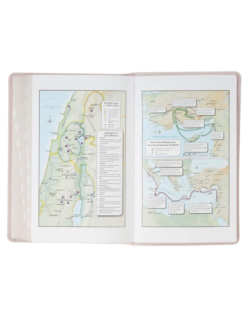 Blush Floral Faux Leather Standard-size Giant Print KJV Bible Thumb Index