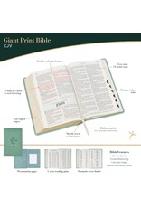 Teal Floral Faux Leather Giant Print Standard-size King James Version Bible with Thumb Index