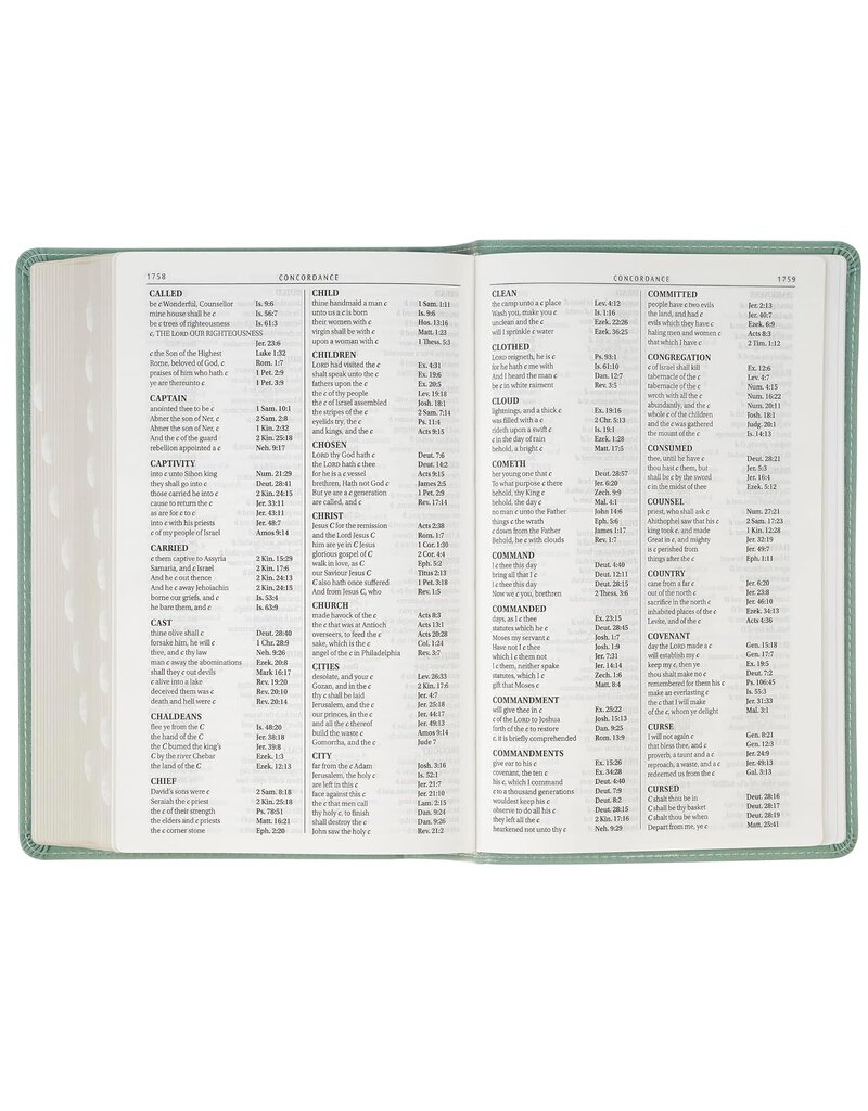 Teal Floral Faux Leather Giant Print Standard-size King James Version Bible with Thumb Index
