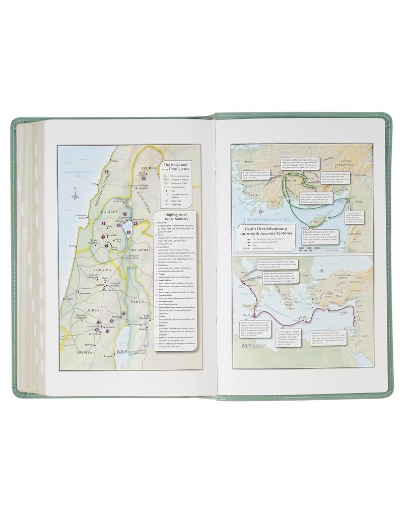 Teal Floral Faux Leather Giant Print Standard-size King James Version Bible with Thumb Index
