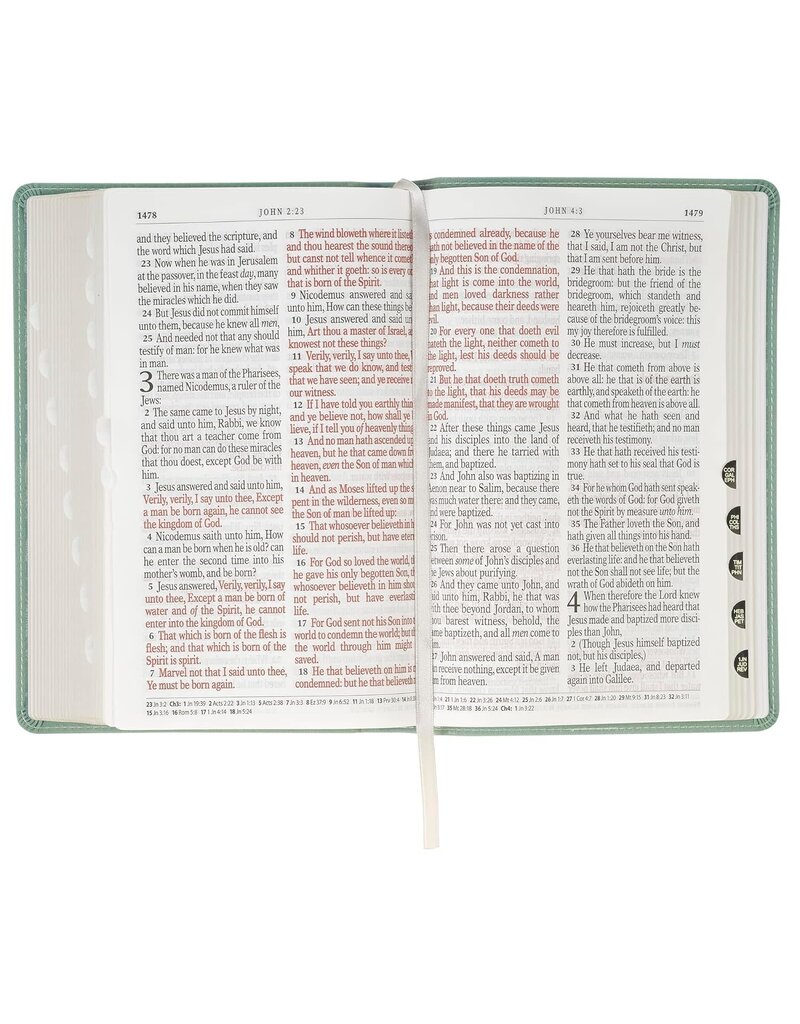 Teal Floral Faux Leather Giant Print Standard-size King James Version Bible with Thumb Index