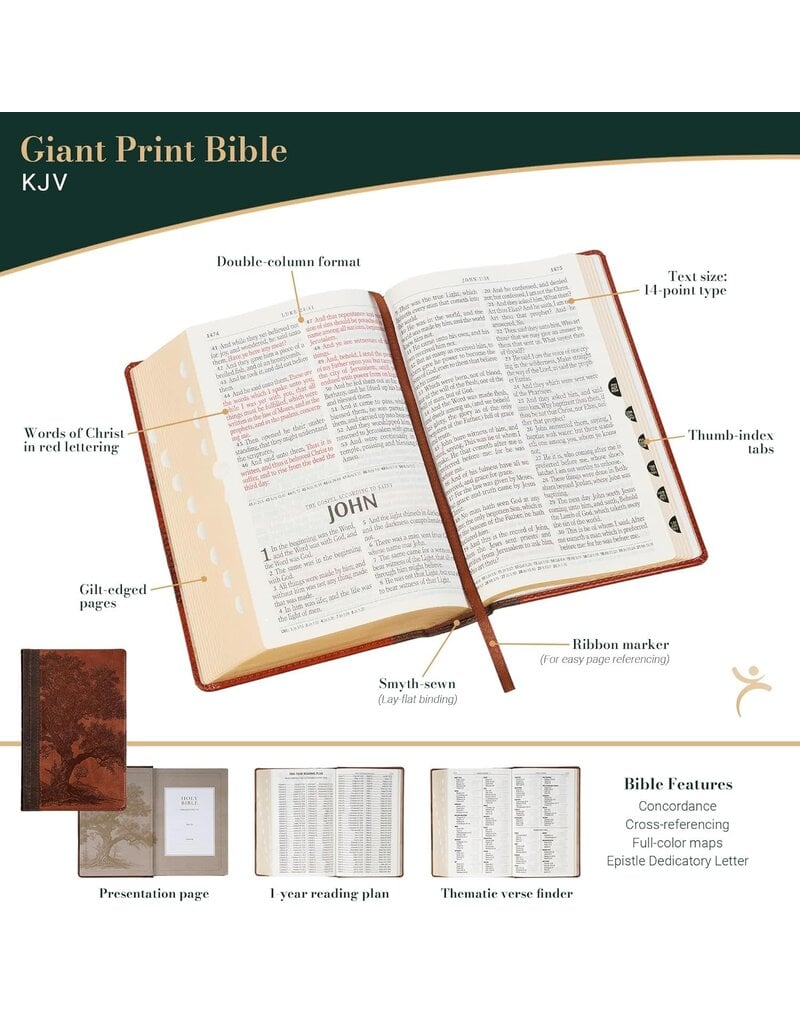 Rooted Brown Faux Leather Hardcover Standard-size Giant Print King James Version Bible with Thumb Index