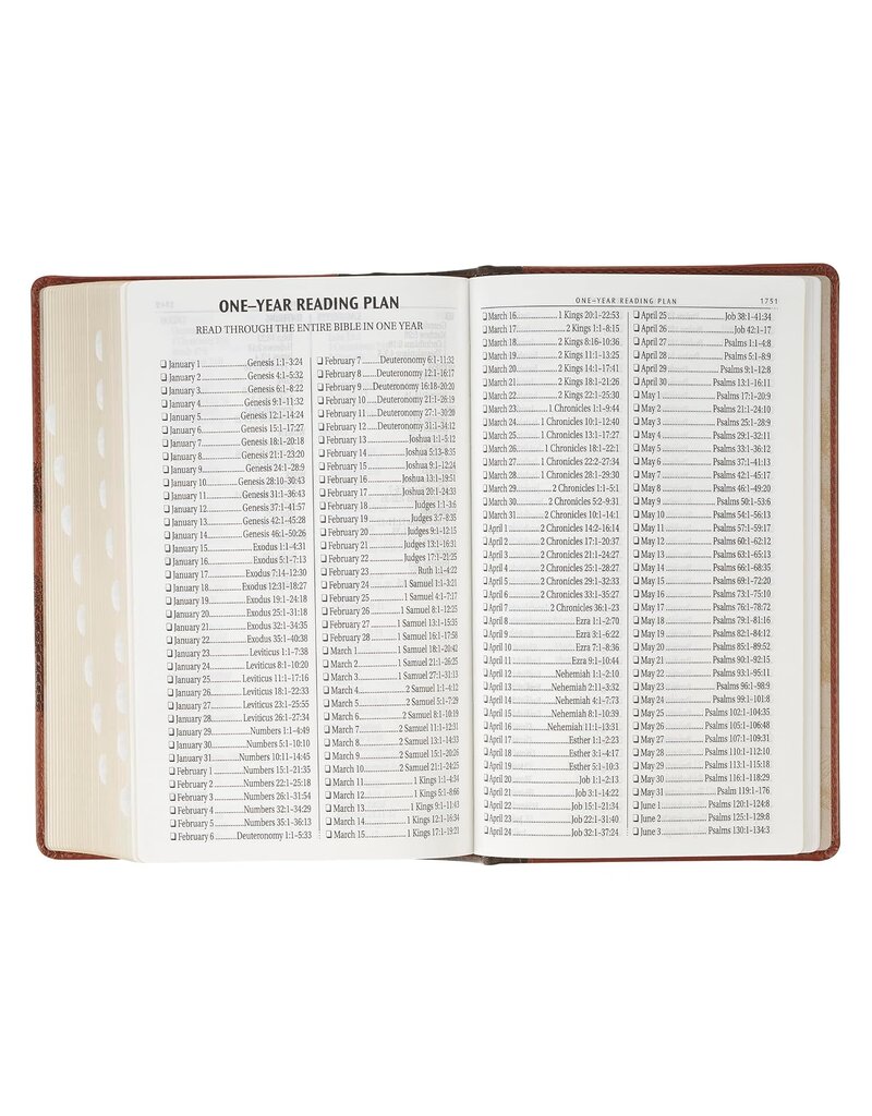 Rooted Brown Faux Leather Hardcover Standard-size Giant Print King James Version Bible with Thumb Index