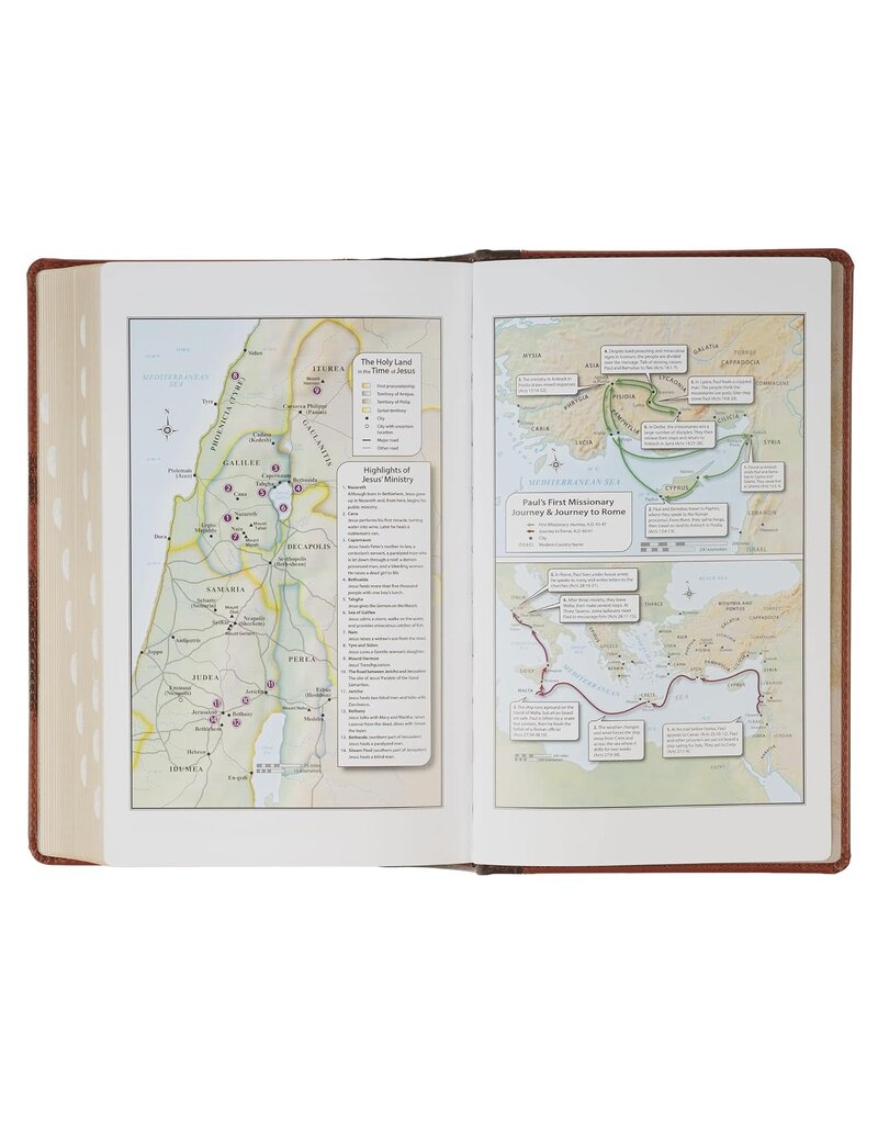 Rooted Brown Faux Leather Hardcover Standard-size Giant Print King James Version Bible with Thumb Index