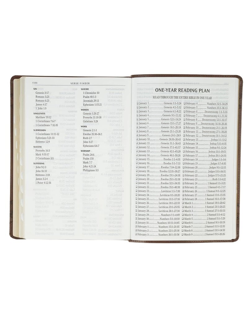 Brown Crown of Thorns Giant Print Full-size King James Version Bible with Thumb Index