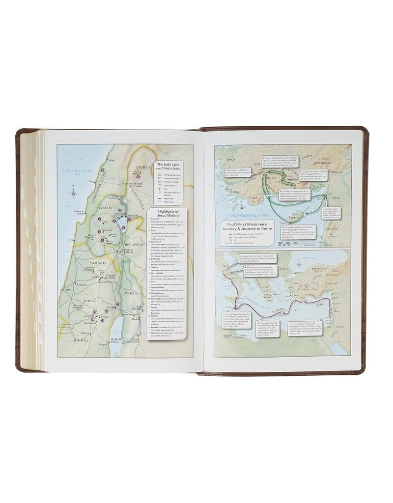 Brown Crown of Thorns Giant Print Full-size King James Version Bible with Thumb Index
