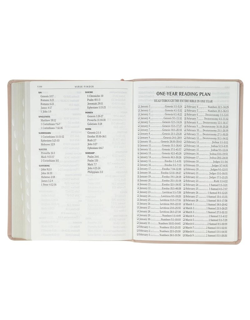 Blush Pink Floral Giant Print Full-size King James Version Bible with Thumb Index