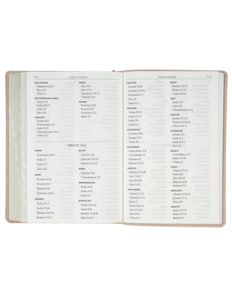 Blush Pink Floral Giant Print Full-size King James Version Bible with Thumb Index