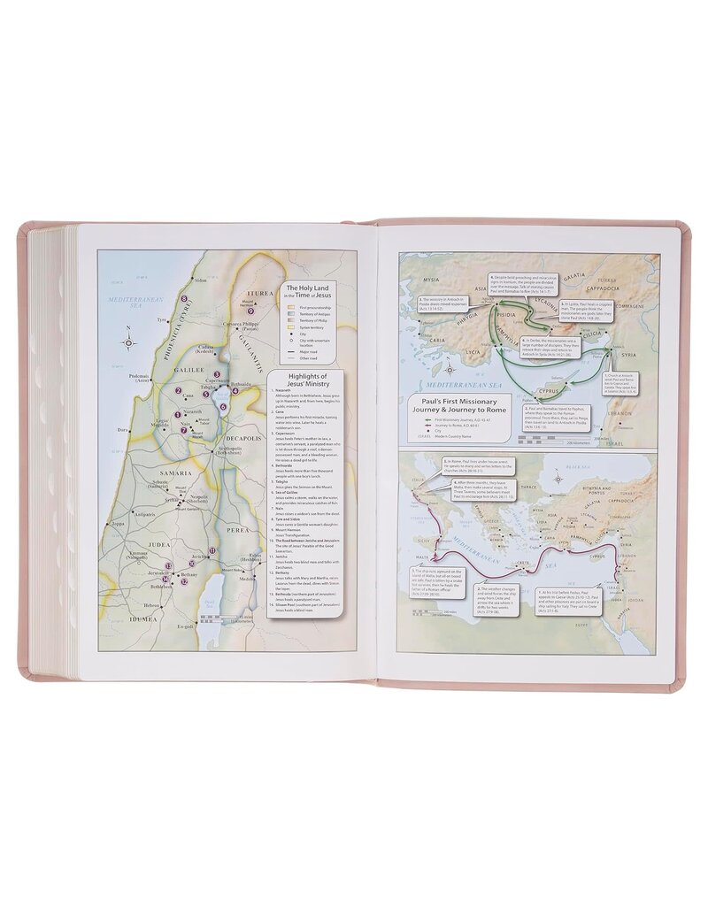 Blush Pink Floral Giant Print Full-size King James Version Bible with Thumb Index