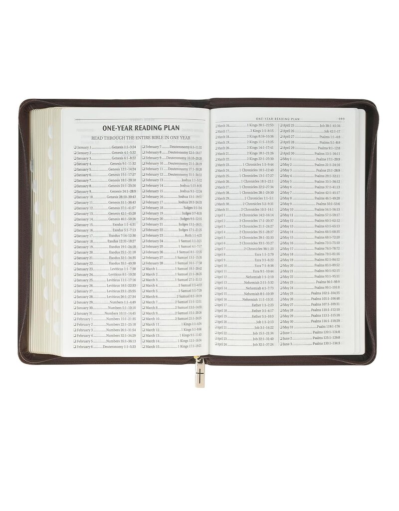 Crown of Thorns Two-tone Brown Faux Leather King James Version Deluxe Gift Bible with Thumb Index and Zipper Closure