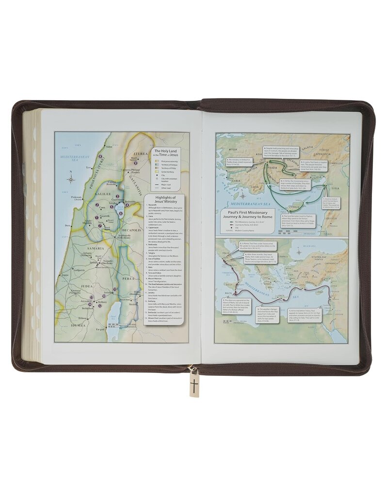 Crown of Thorns Two-tone Brown Faux Leather King James Version Deluxe Gift Bible with Thumb Index and Zipper Closure