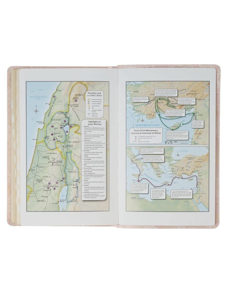 Pale Pink Floral Faux Leather King James Version Deluxe Gift Bible with Thumb Index