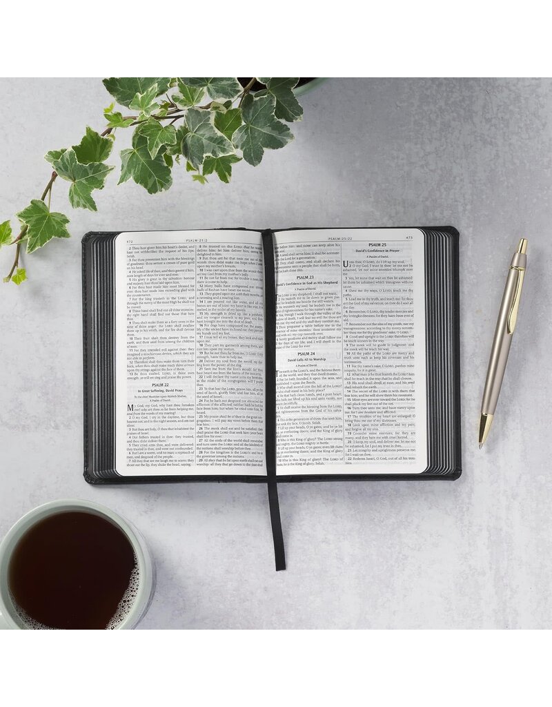 Black and Gray Lion Faux Leather Hardcover Compact King James Version Bible