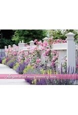 Garden Splendor Boxed Birthday Cards