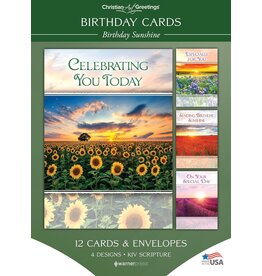 Birthday Sunshine Boxed Birthday Cards