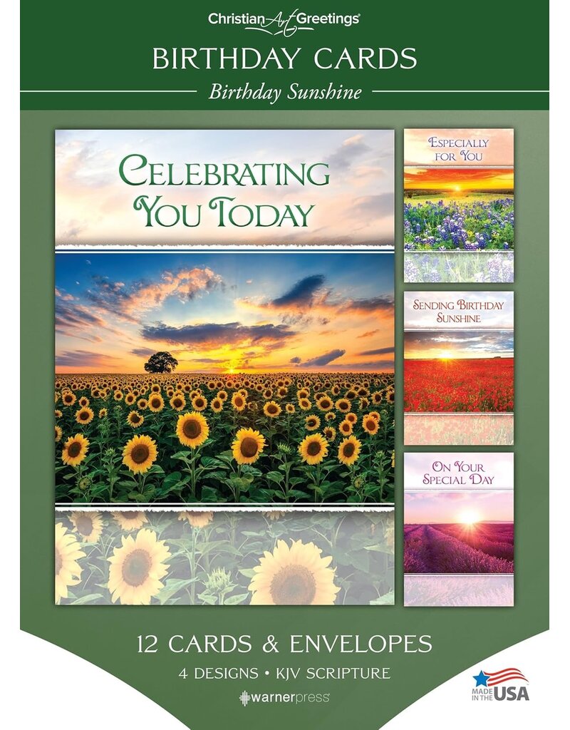 Birthday Sunshine Boxed Birthday Cards