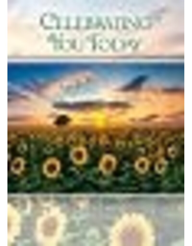 Birthday Sunshine Boxed Birthday Cards