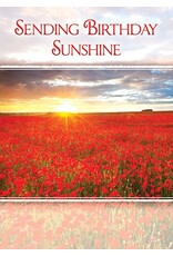 Birthday Sunshine Boxed Birthday Cards