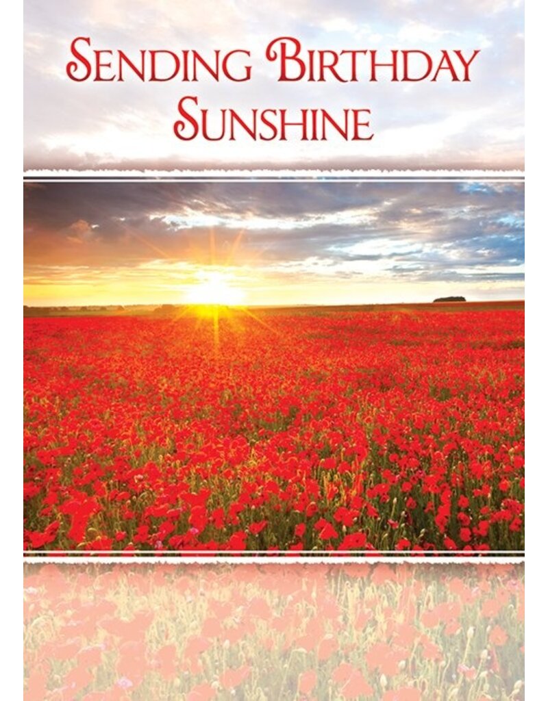 Birthday Sunshine Boxed Birthday Cards