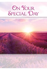 Birthday Sunshine Boxed Birthday Cards