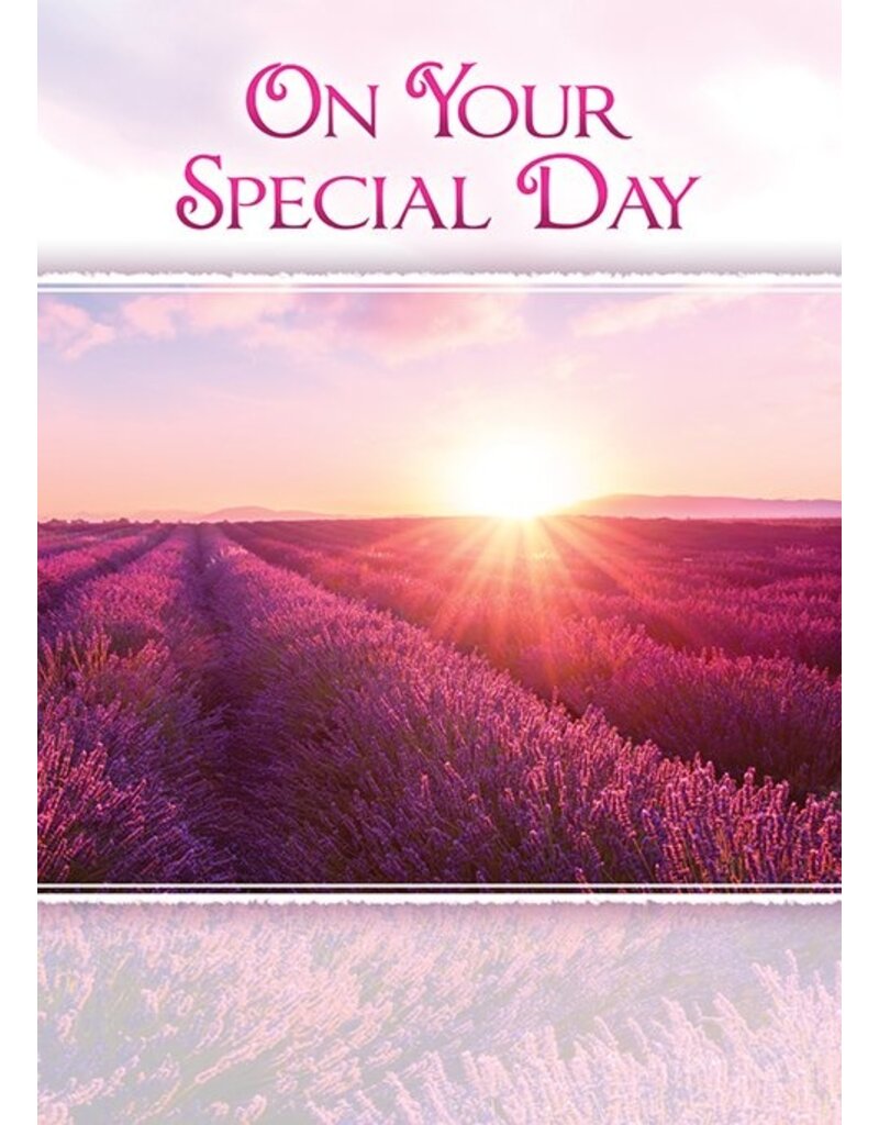 Birthday Sunshine Boxed Birthday Cards