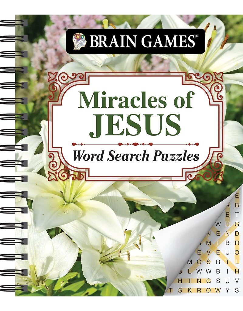 Bible Word Search Miracles of Jesus