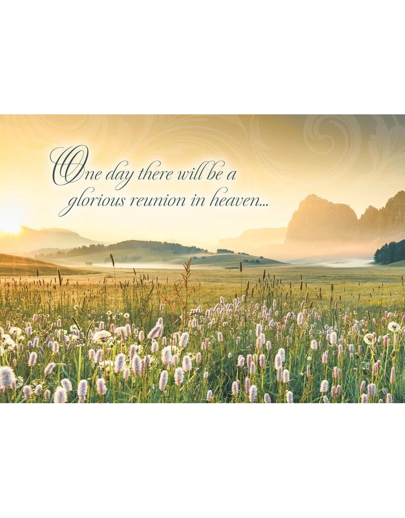 Golden Hour Sympathy Boxed Cards