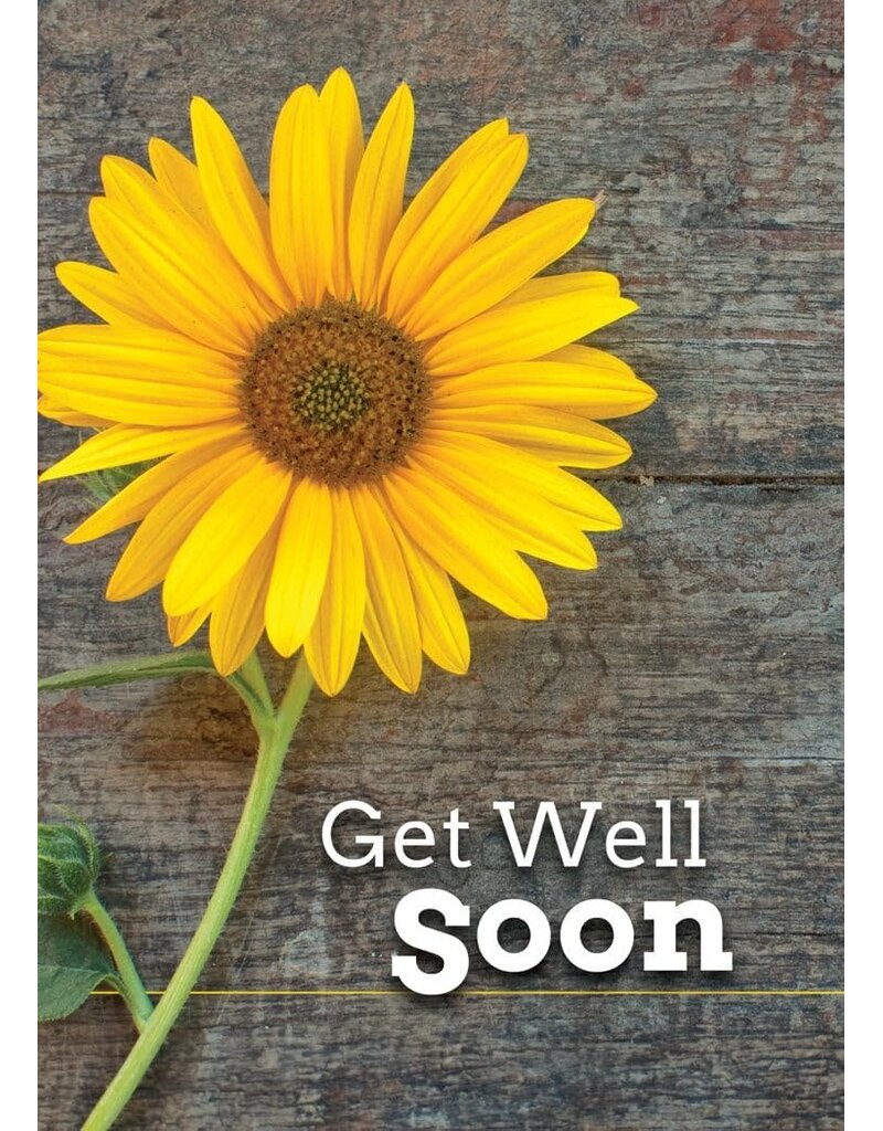 Healing Prayers Get Well Boxed Cards