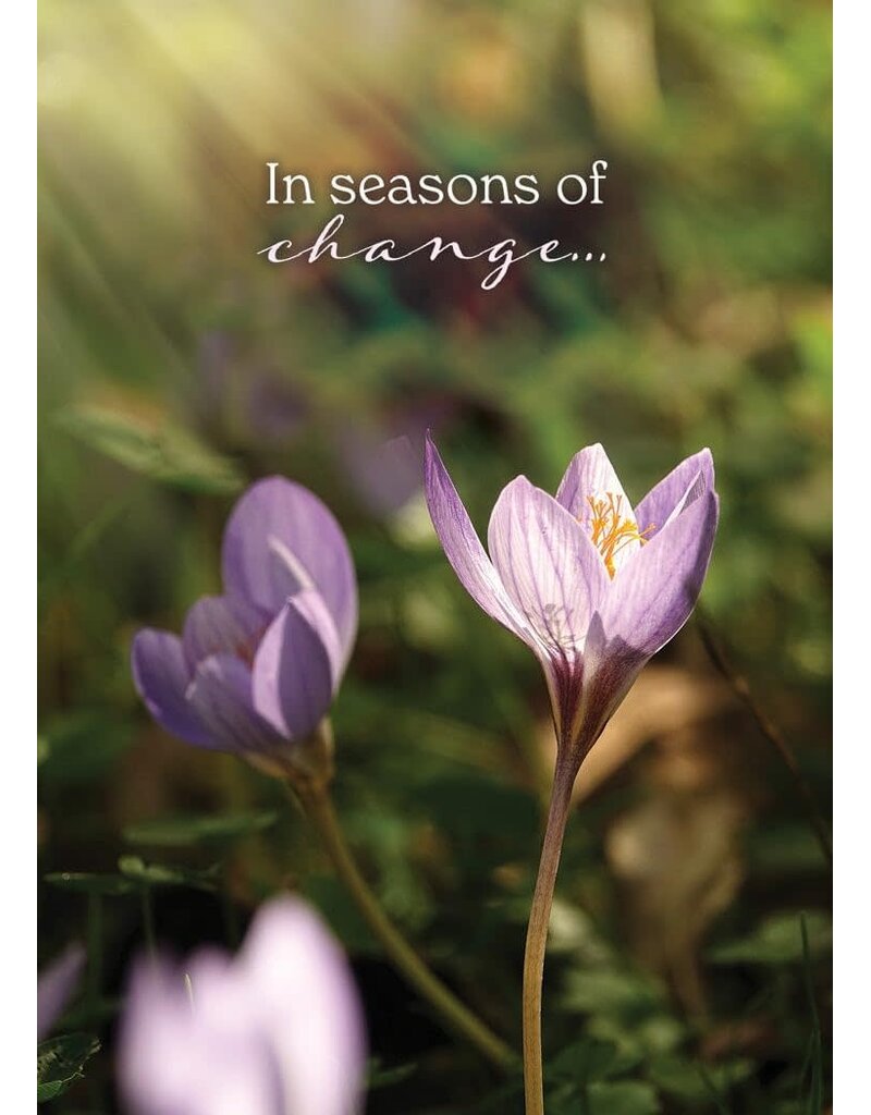 Heartwarming Hope Praying for You Boxed Cards