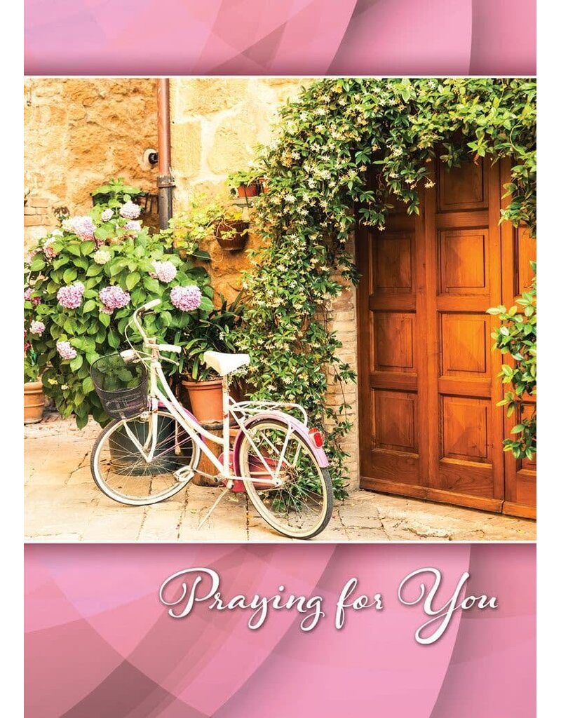 Charming Views All Occasion Boxed Cards