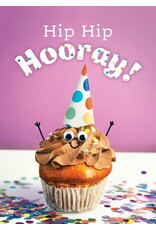 Hip Hip Hooray! Birthday Boxed Cards