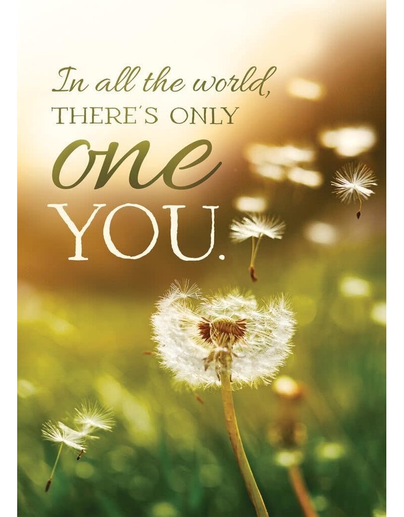 Thoughtful Greetings All Occassion Boxed Cards