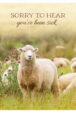 Thoughtful Greetings All Occassion Boxed Cards