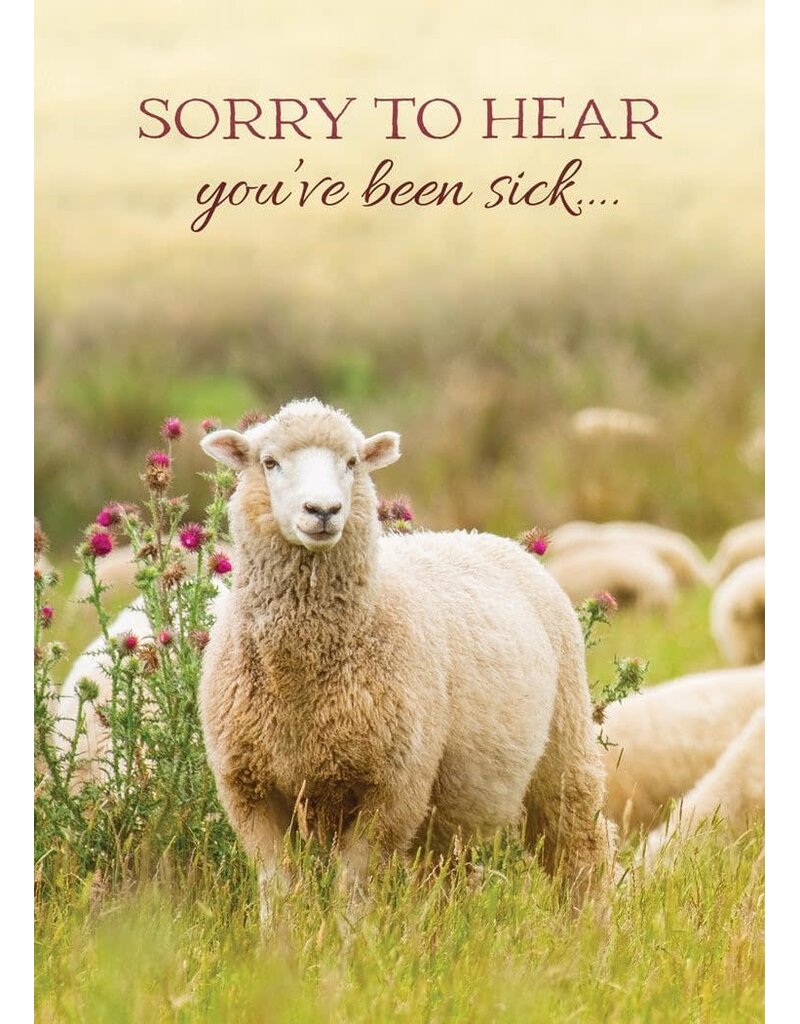 Thoughtful Greetings All Occassion Boxed Cards