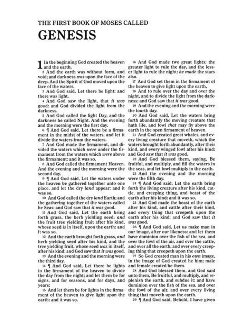 KJV Great and Small Bible, Pink Leathertouch: A Keepsake Bible for Babies