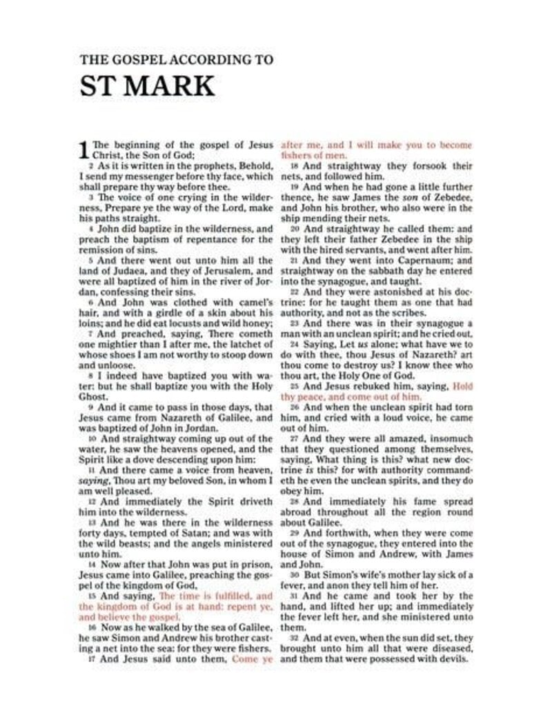 KJV Great and Small Bible, Pink Leathertouch: A Keepsake Bible for Babies