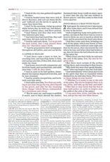 Holman KJV Study Bible, Saddle Brown Leather Touch