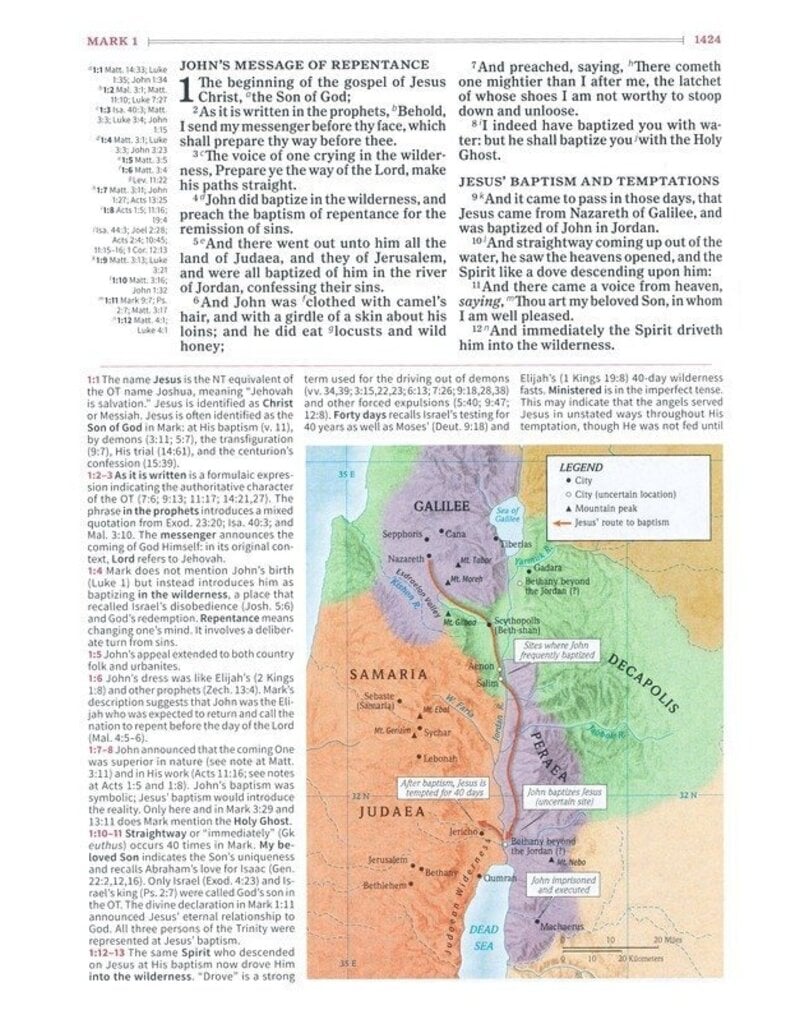 Holman KJV Study Bible Black Goatskin, Thumb-Indexed