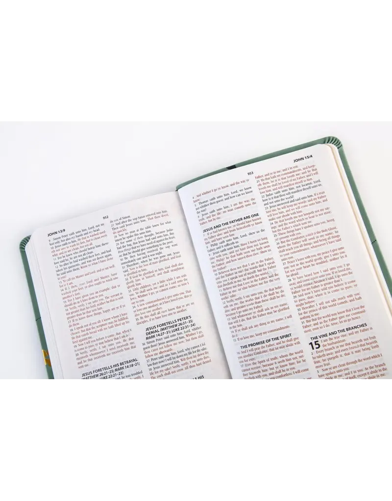 THE HOLY BIBLE KJV: PRAYER MAP EDITION
