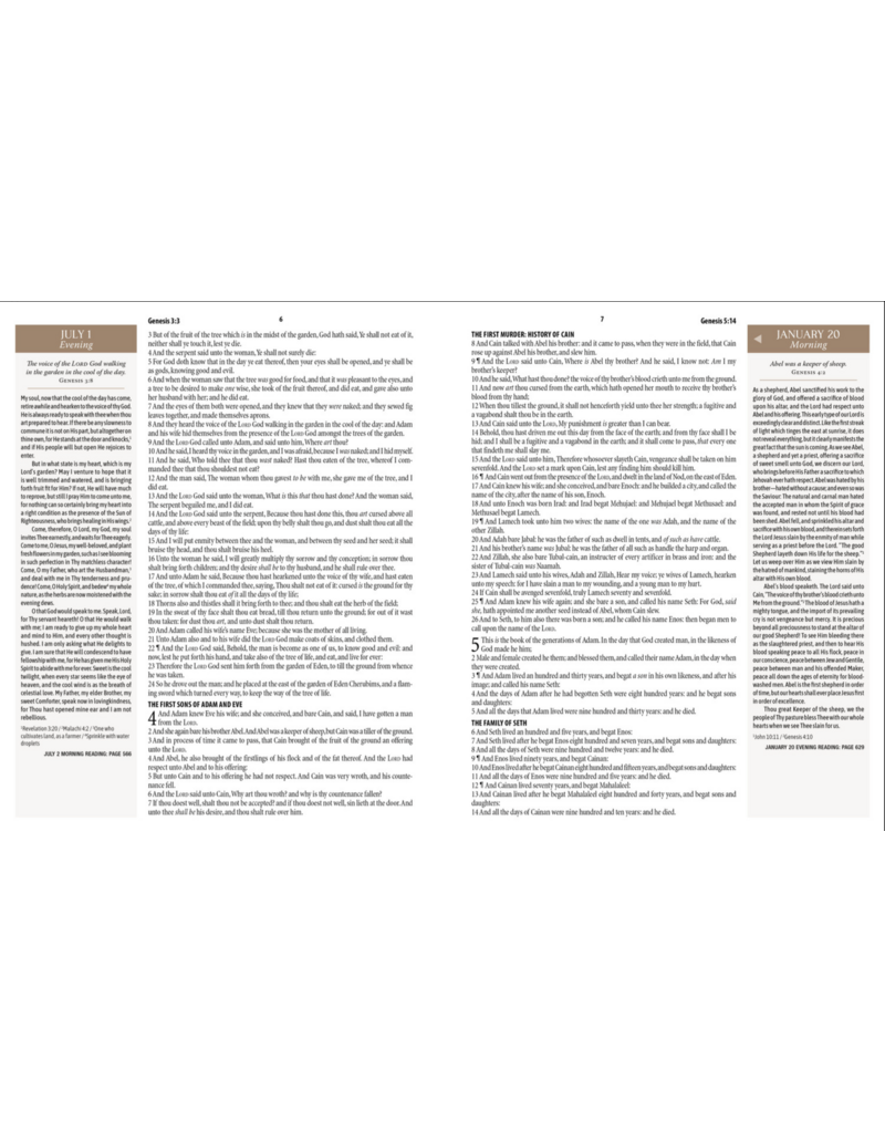 CHARLES SPURGEON'S MORNING & EVENING DEVOTIONAL BIBLE KJV [ROSE GOLD & SAND SIGNATURE]