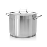 Stainless Steel 11 Quart Pot