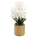TWS OP3420 3 Branched White Orchid Plant in Hammered Stainless Pot