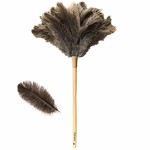 TWS Ostrich Feather Duster